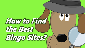 How to Find the Best Bingo Sites?