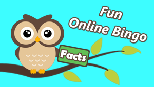 Fun Online Bingo Facts