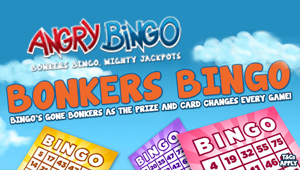 Angry Bingo Promotion